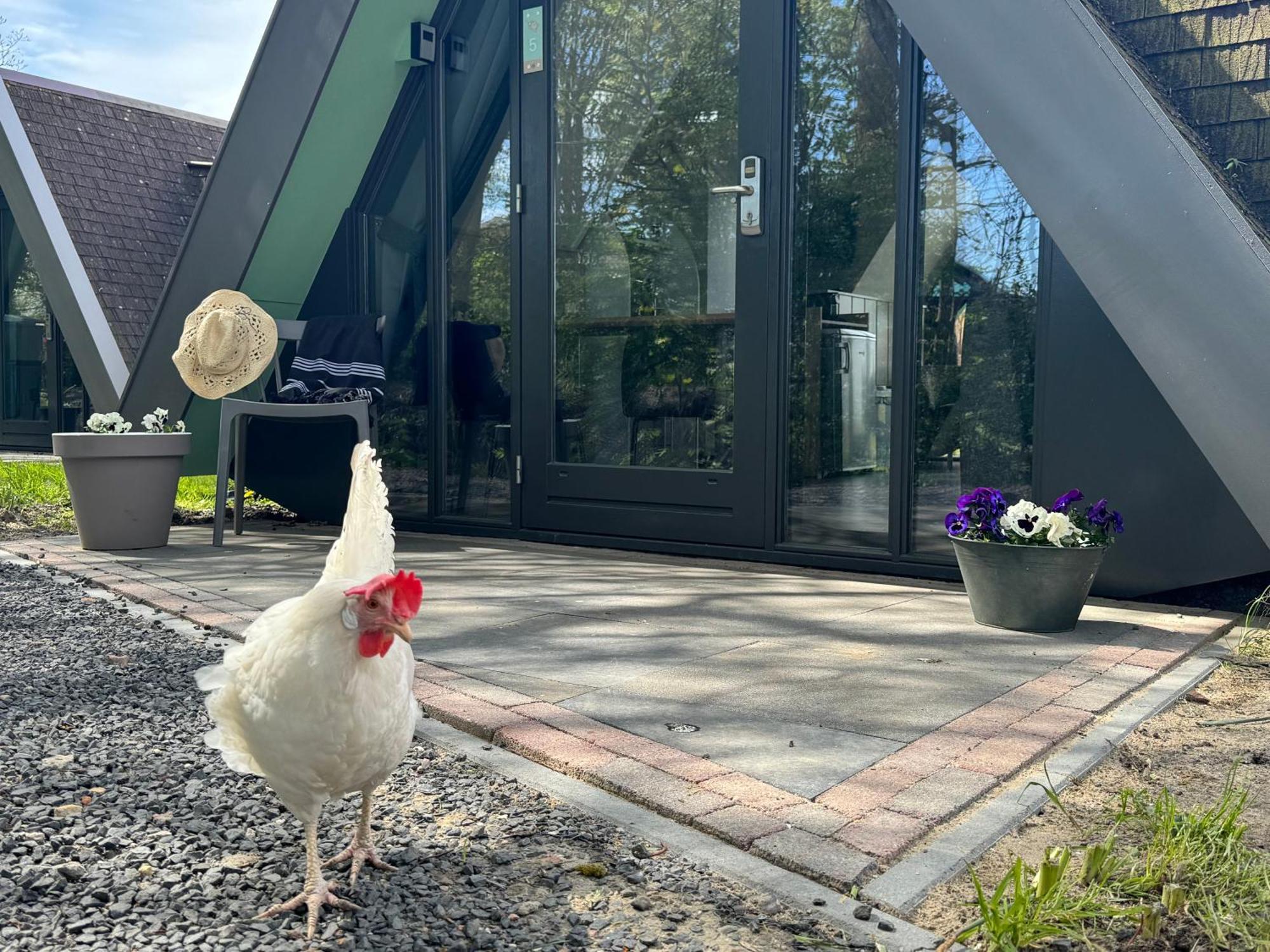 Hotelhuisjes Medemblik Wieringerwerf Eksteriør billede